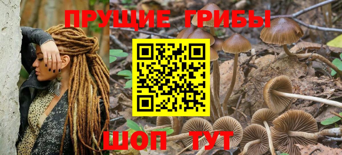 Галлюциногенные грибы мицелий Кувандык