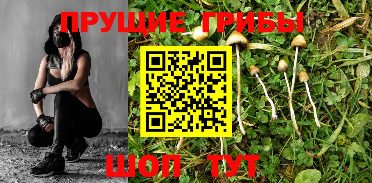 Кувандык  Галлюциногенные грибы мицелий  Галлюциногенные грибы мухоморы  Вход с VPN 